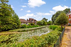 River Mole- click for photo gallery